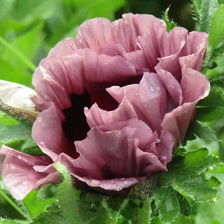 Homestay szállás Fermette Dans Les Pays De La Loire