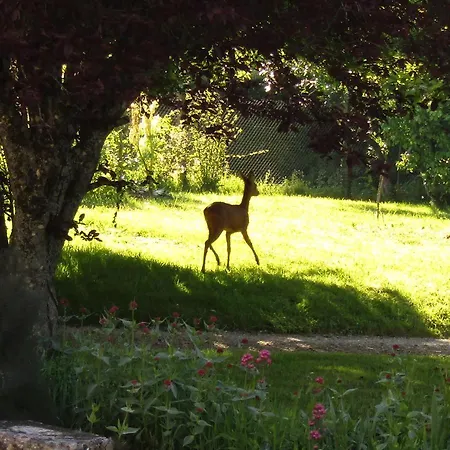 Fermette Dans Les Pays De La Loire Homestay szállás