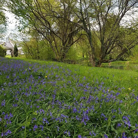Fermette Dans Les Pays De La Loire Homestay szállás Izé