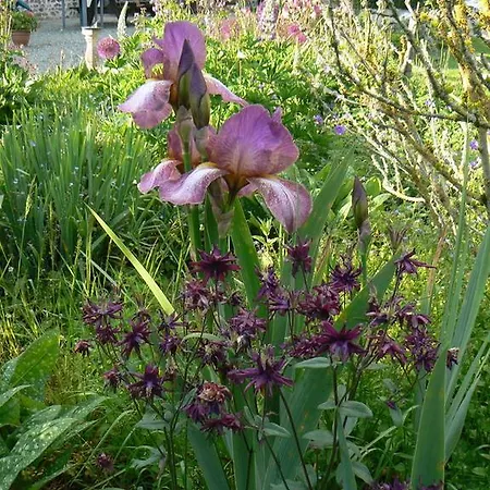Fermette Dans Les Pays De La Loire