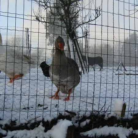 Fermette Dans Les Pays De La Loire *