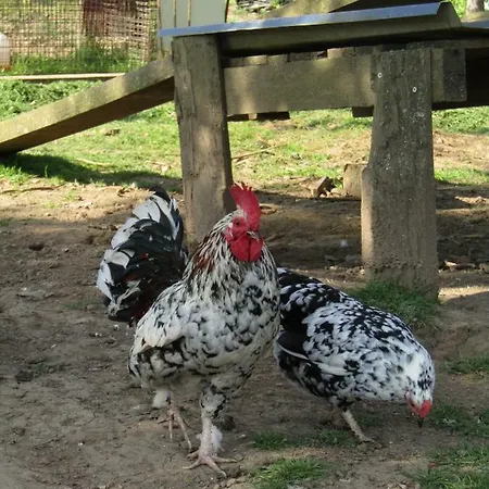 Fermette Dans Les Pays De La Loire *