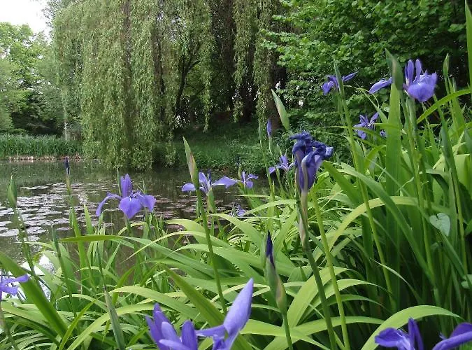 Fermette Dans Les Pays De La Loire 民宿 Izé