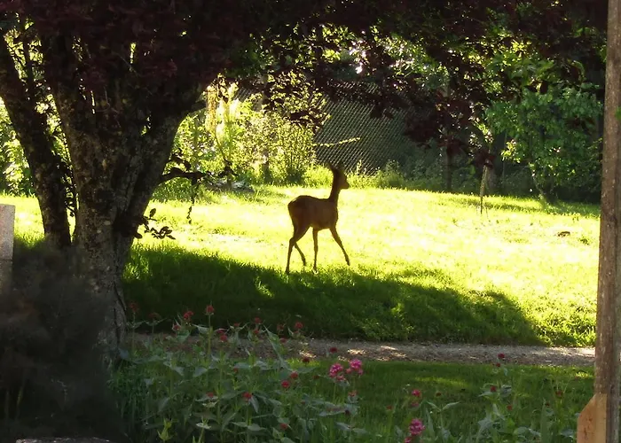 Fermette Dans Les Pays De La Loire Habitación en casa particular