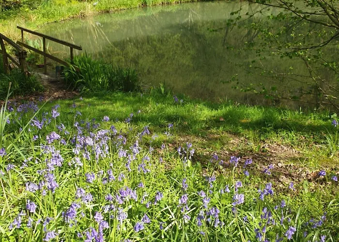 Habitación en casa particular Fermette Dans Les Pays De La Loire Izé