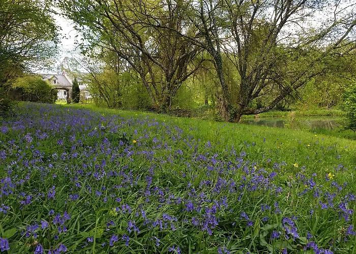 Fermette Dans Les Pays De La Loire Habitación en casa particular Izé