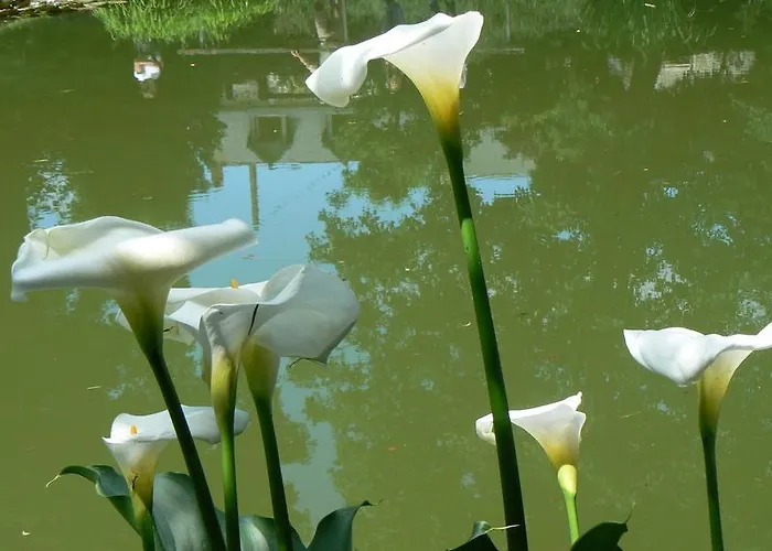 Fermette Dans Les Pays De La Loire 民宿 Izé