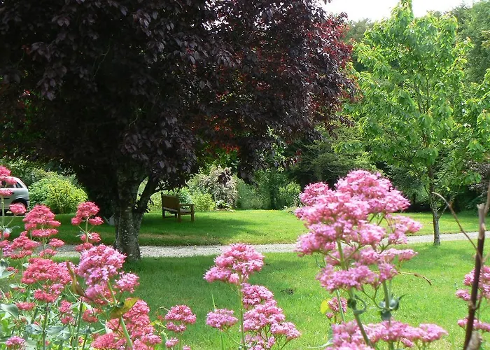 Fermette Dans Les Pays De La Loire 民宿 *