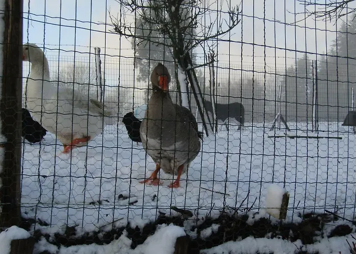 Fermette Dans Les Pays De La Loire *