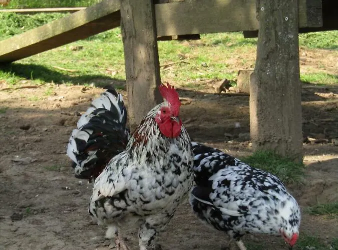 Fermette Dans Les Pays De La Loire *